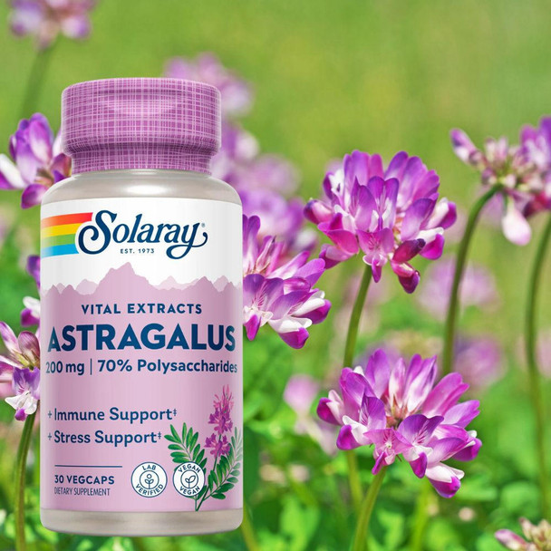  Solaray Astragalus Root Extract 200mg 30 Caps 