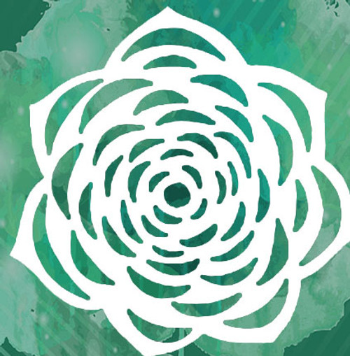 020125 - Succulent