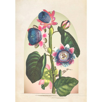Botanique Jungle Bloom Multicolour Wall Art - 137395_TILE_01.jpg