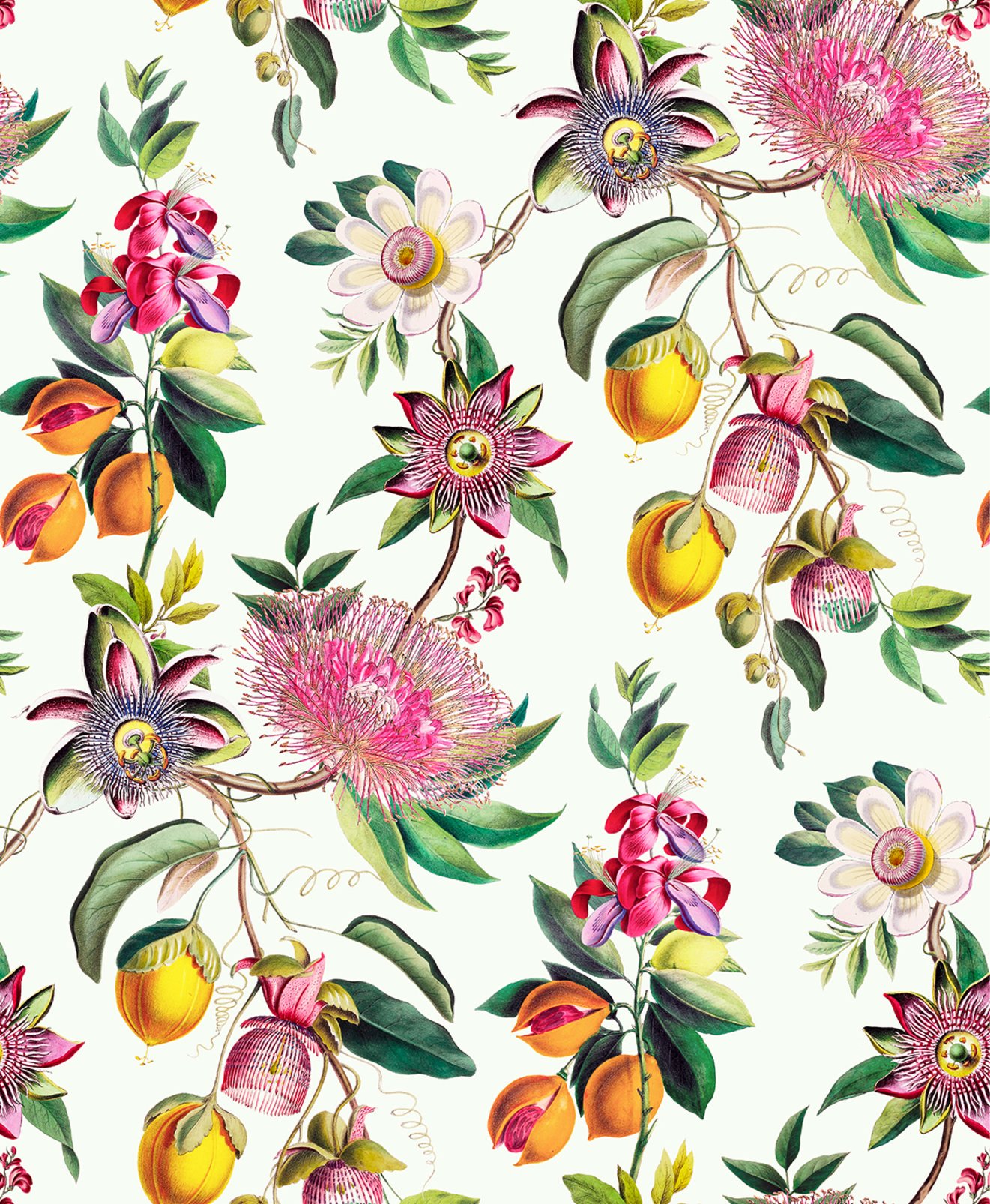 Physic Garden Lush Wallpaper