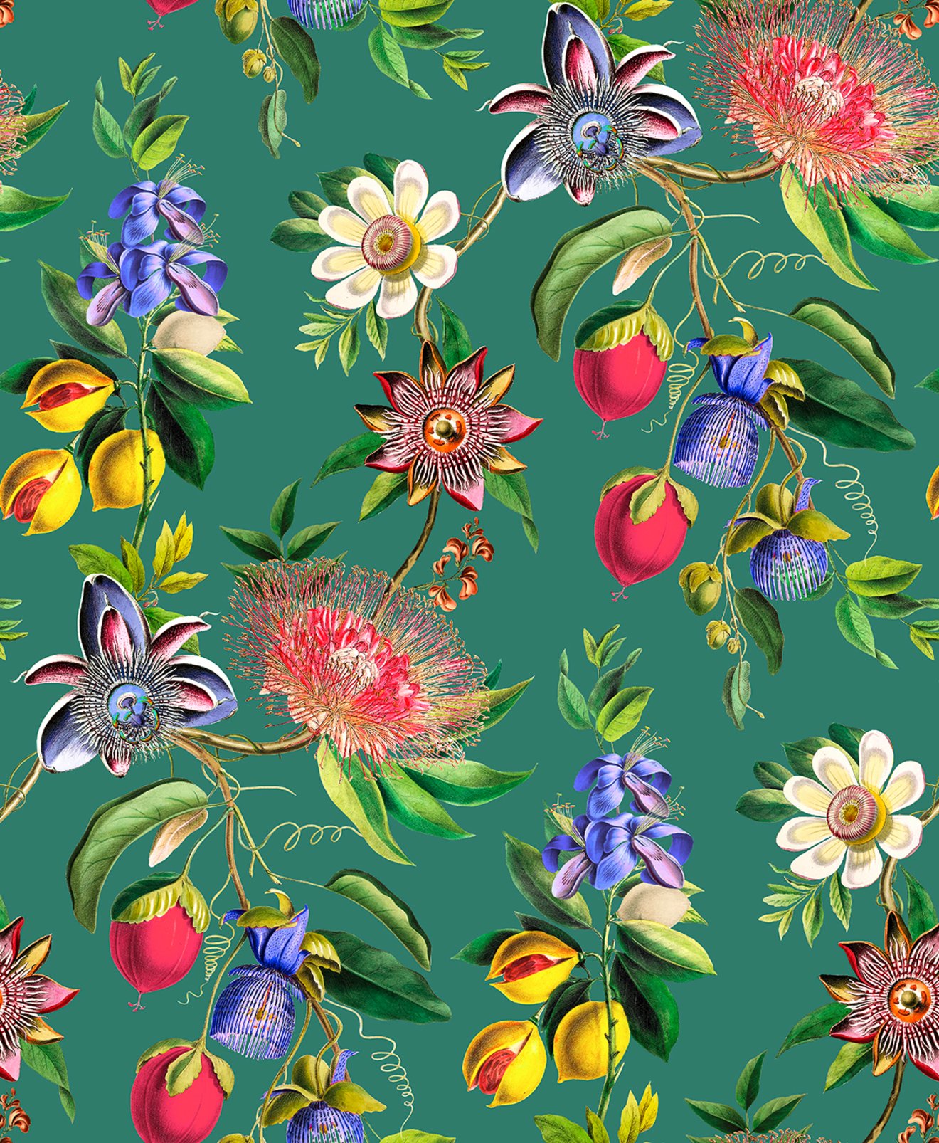 Physic Garden Teal Wallpaper