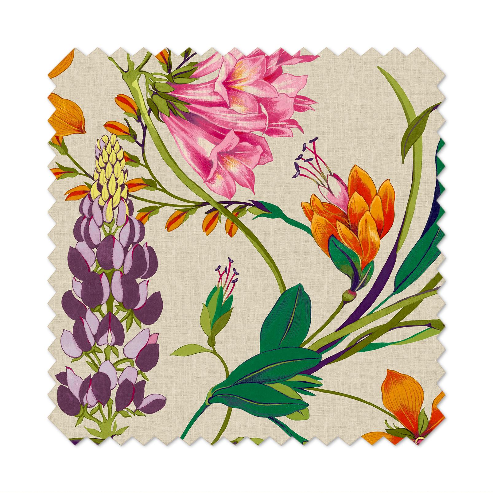 Botanists Scroll Vivant Roller Blind