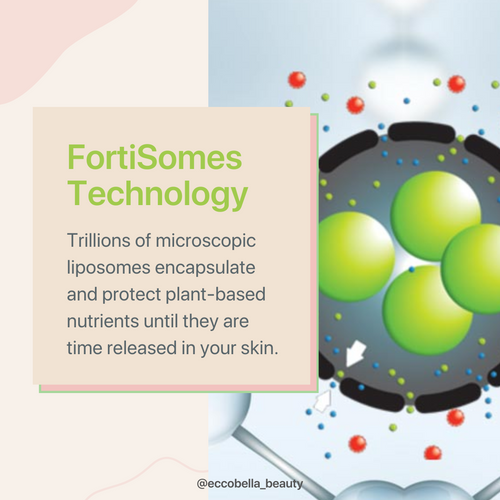 FortiSomes technology