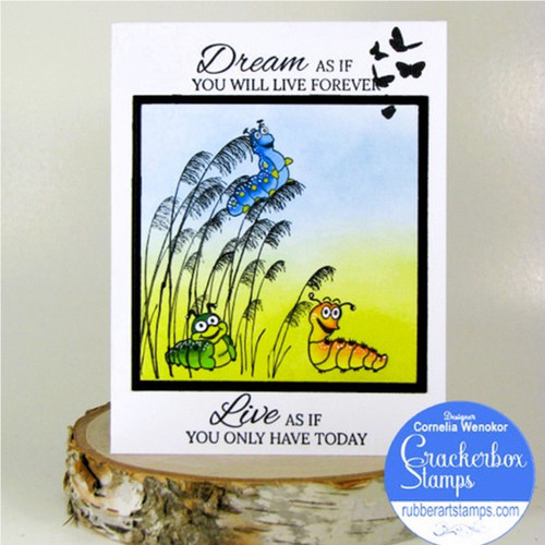 Caterpillar Dreams Card