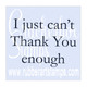 Can't Thank You Enough