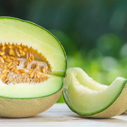 Rocky Ford Green Fleshed Cantaloupe (Cucumis melo) Rocky Ford Green Fleshed Cantaloupe (Cucumis melo)