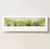 Smart Landscape Grow Frame - Wall Planter & Grow Light