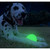 2 Glow Fetch and Catch 2 Match Ball