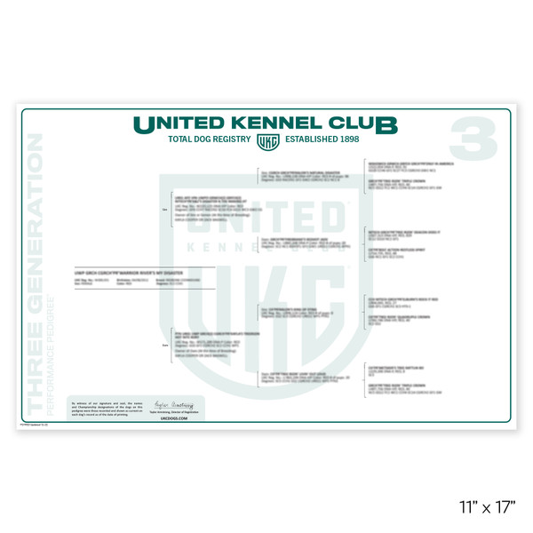 Customizable UKC Display Pedigree featuring 3 to 7 generations of ancestry. Available with Metallic accents and specialized Purple Ribbon (‘PR’) versions. Shipped in a protective mailing tube. Perfect for breeders, owners, and kennel displays.