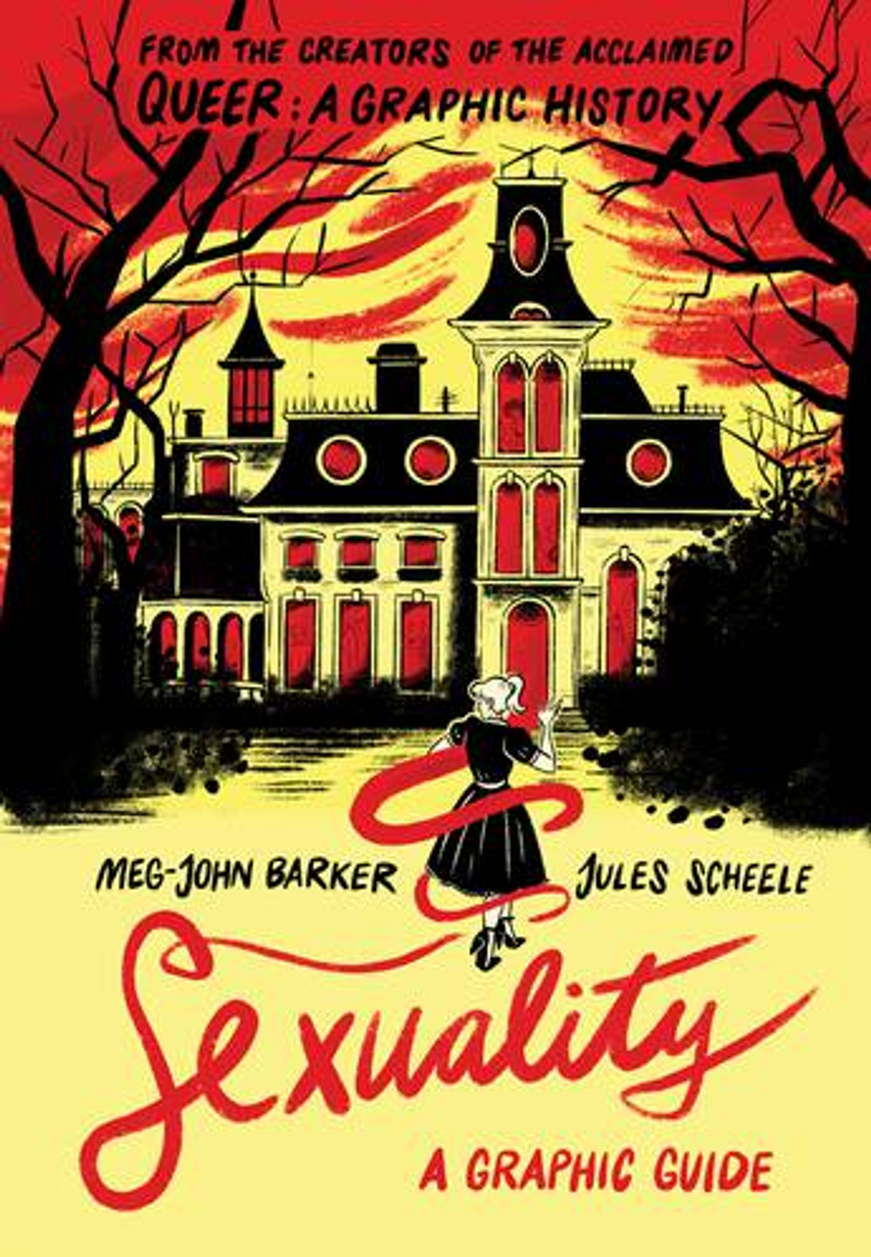 Sexuality: A Graphic Guide 