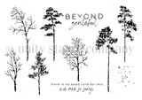 Serene Silhouettes