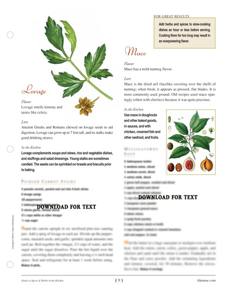 Printable PDF - Guide to Spices & Herbs in the Kitchen