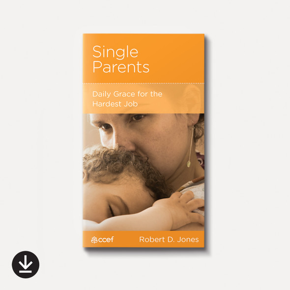 Single Parents: Daily Grace for the Hardest Job (eBook)