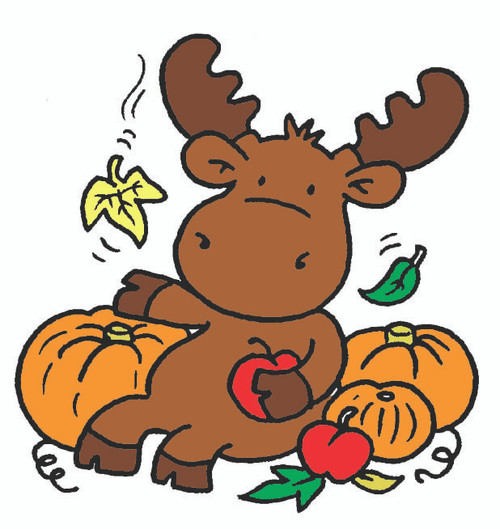 Pumpkin Patch